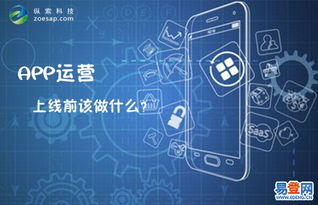 武漢縱索科技 深耕武昌關山，引領專業軟件開發與網站建設新篇章